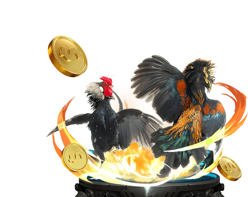 Hiểu biết về tỷ lệ cược trong cá cược viwt 69